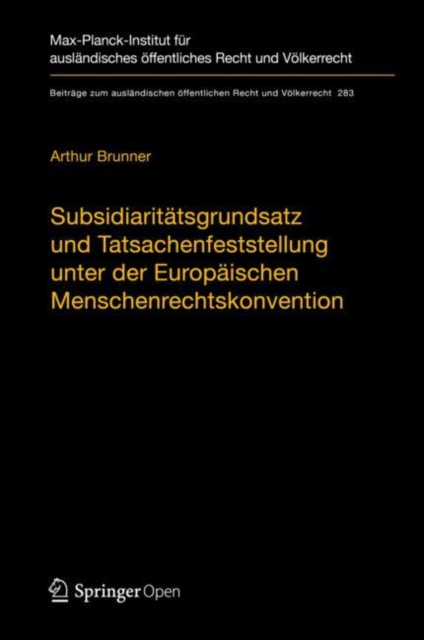 Subsidiaritatsgrundsatz Und Tatsachenfeststellung Unter Der Europaischen Menschenrechtskonvention