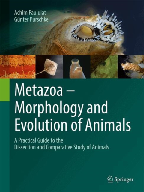 Metazoa – Morphology and Evolution of Animals