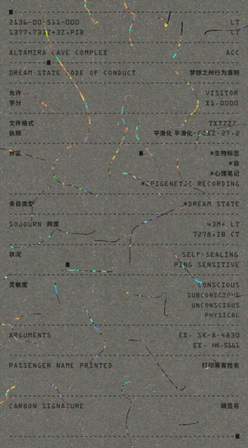 Dream State Code of Conduct ( Middle Income Level)