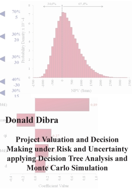 Project Valuation and Decision Making under Risk and Uncertainty applying Decision Tree Analysis and Monte Carlo Simulation