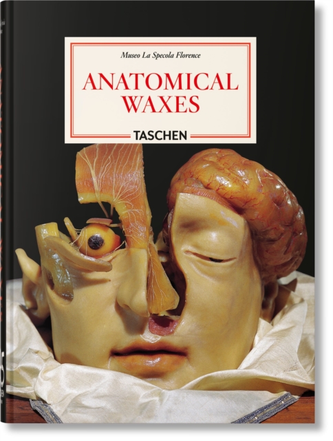 Anatomical Waxes. 45th Ed.