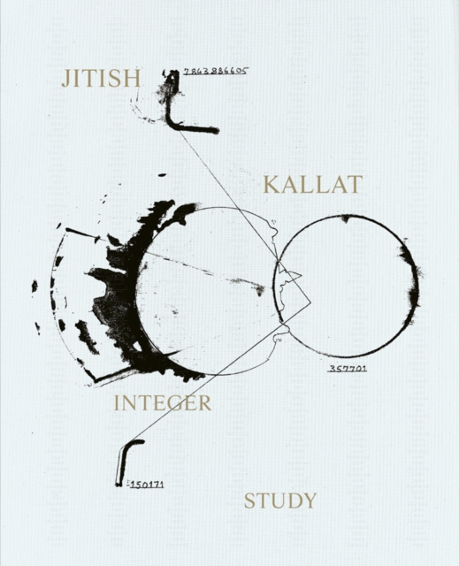 Jitish Kallat - Integer Study