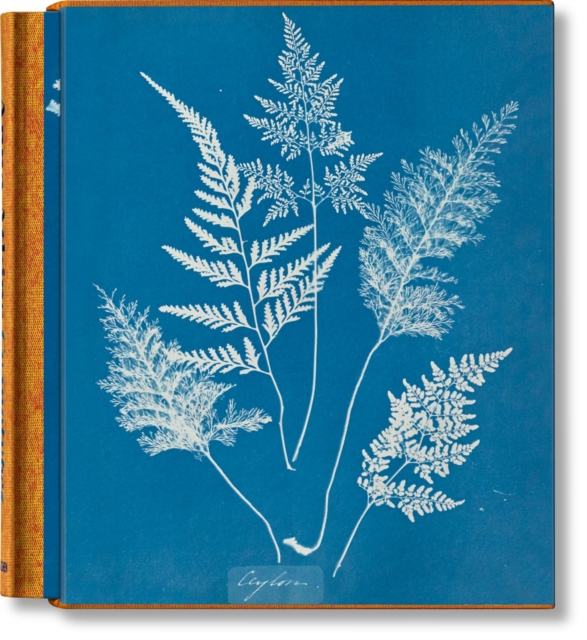 Anna Atkins. Cyanotypes