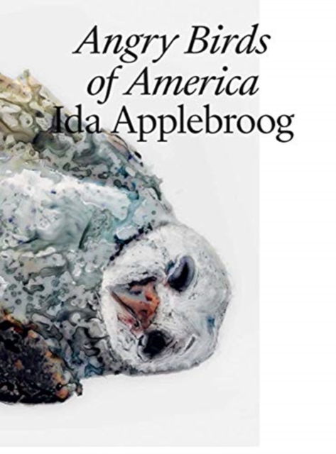 Ida Applebroog