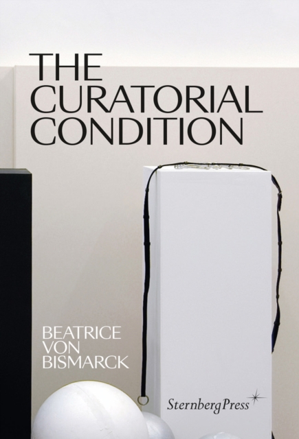Curatorial Condition