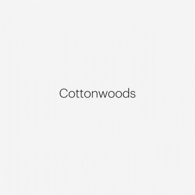 Robert Adams: Cottonwoods