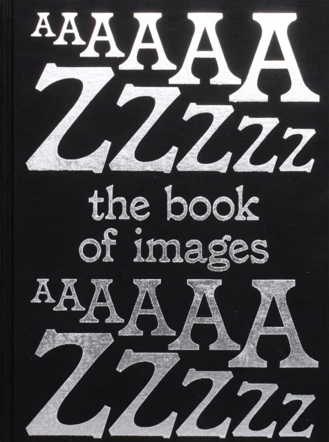 Book of Images An illustrated dictionary of visual experiences From A to Z