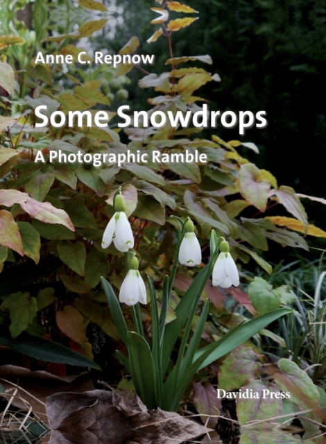 Some Snowdrops - A Photographic Ramble