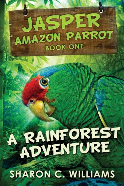 Rainforest Adventure