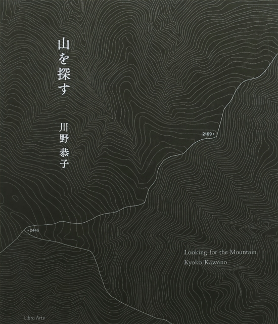 Looking for the Mountain