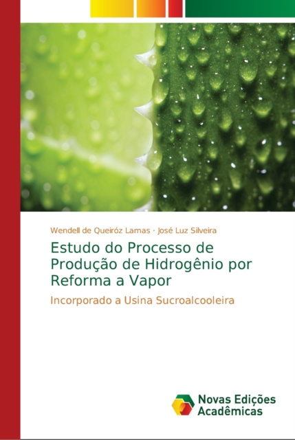Estudo do Processo de Producao de Hidrogenio por Reforma a Vapor
