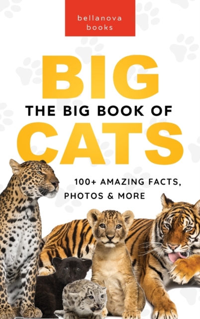 Big Book of Big Cats