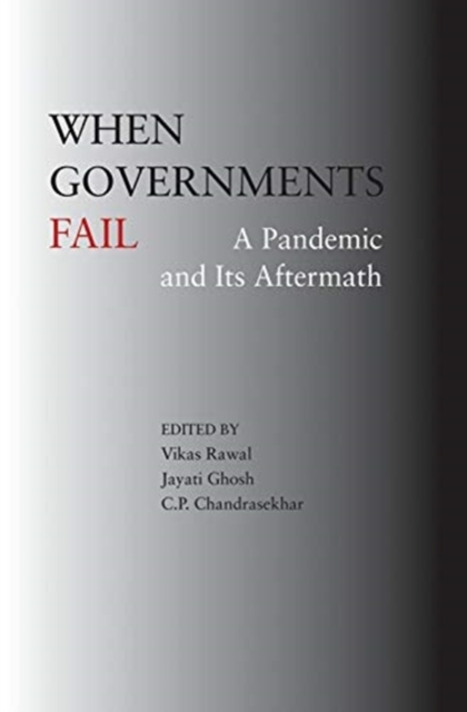 When Governments Fail - A Pandemic and Its Aftermath