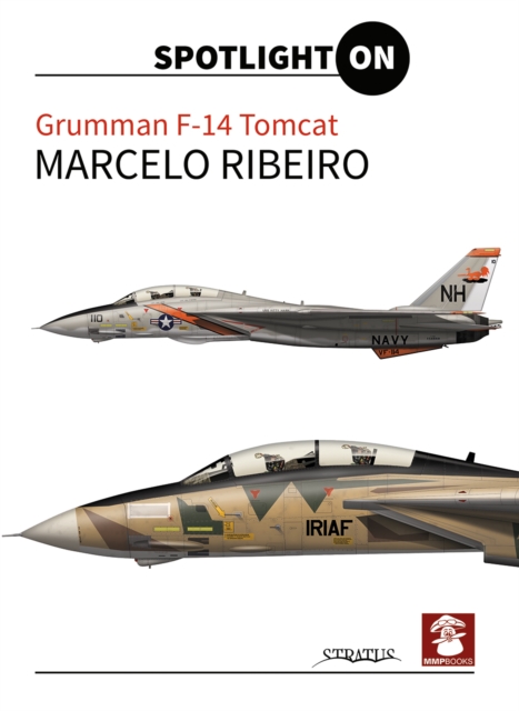 Grumman F-14 Tomcat