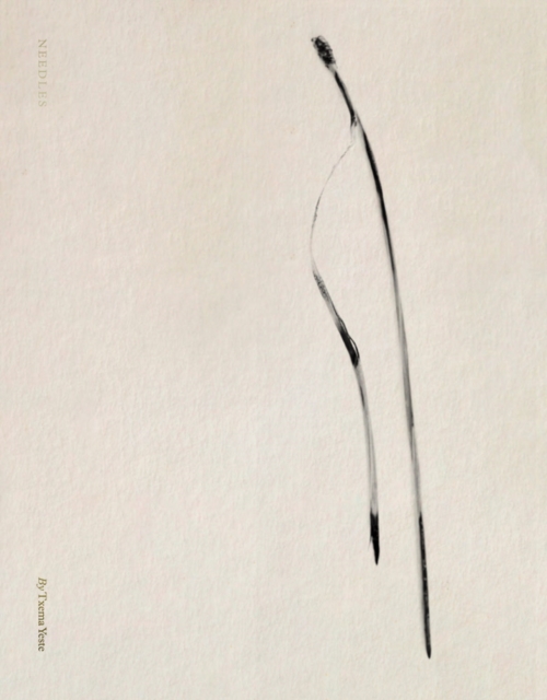 Txema Yeste: Needles