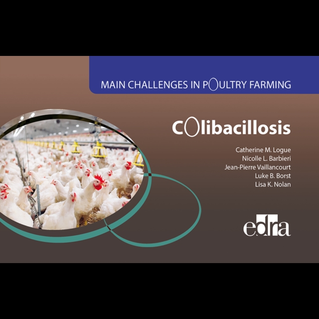 Colibacillosis - Main Challenges in Poultry Farming