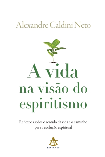 vida na visao do espiritismo