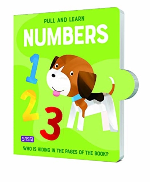 Pull & Learn Numbers