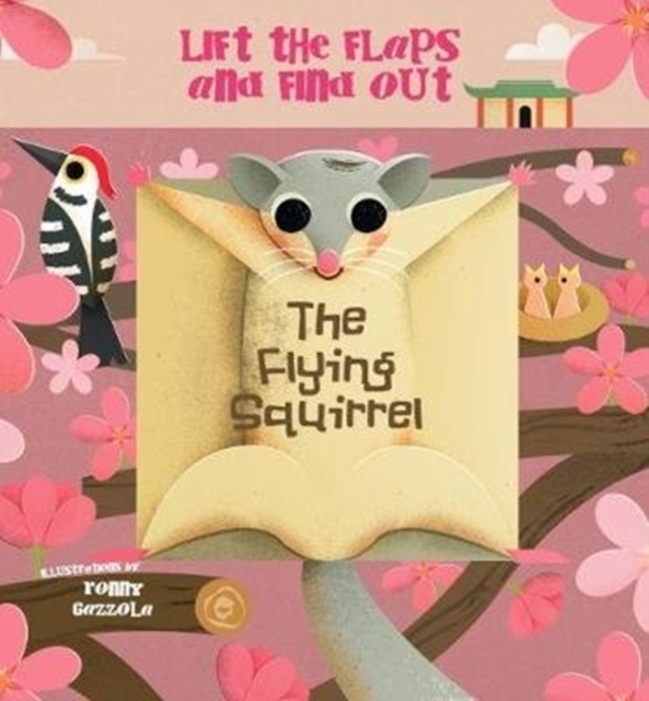 Flying Squirrel - Square