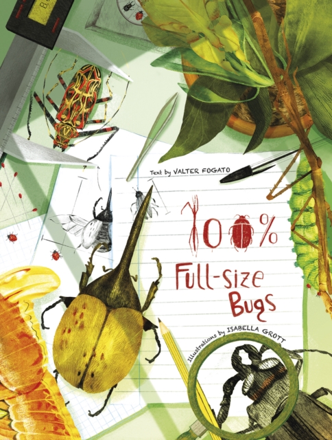 100% Full Size Bugs