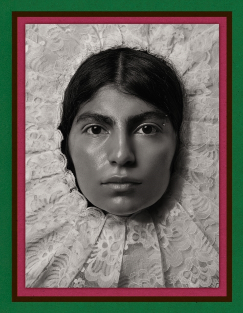 Pieter Henket: Birds of Mexico City