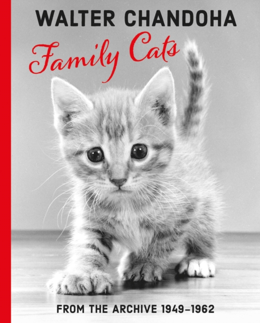 Walter Chandoha: Family Cats From the Archive 1950-1969
