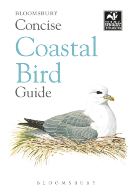 CONCISE COASTAL BIRD CO ED NETH