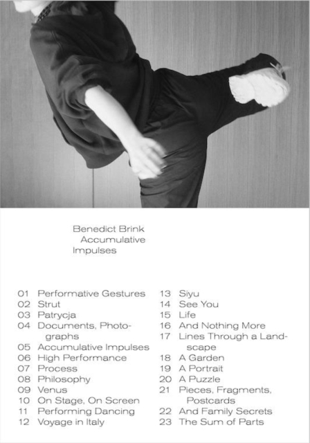 N° 3 : Accumulative Impulses