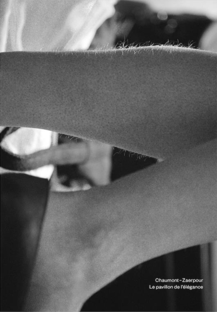 N° 5 : Le pavillon de l'elegance