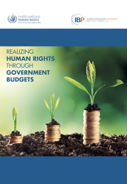 Realizing human rights through government budgets