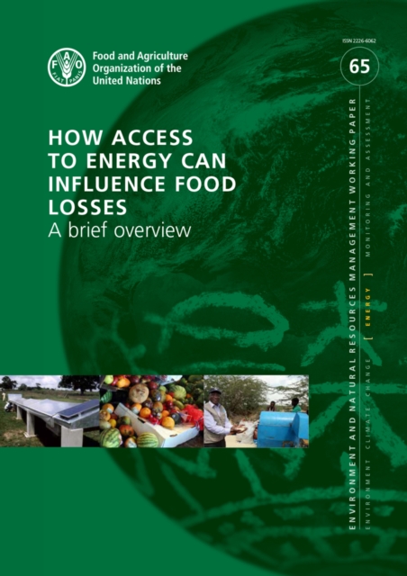 How Access to Energy Can Influence Food Losses