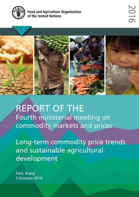 Report of the fourth ministerial meeting on commodity markets and prices