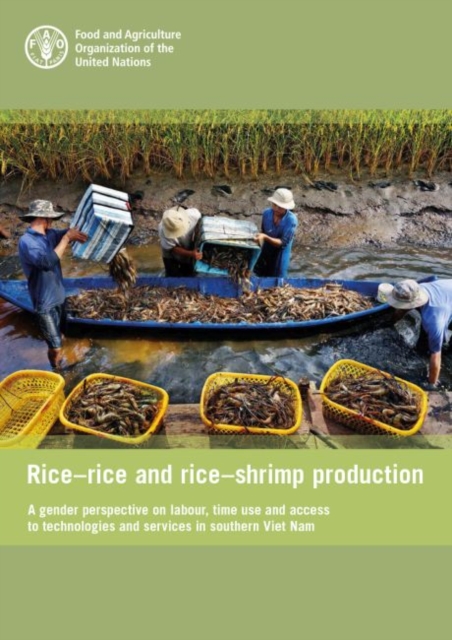 Rice-rice and rice-shrimp production