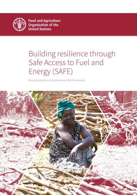 Building resilience through Safe Access to Fuel and Energy (SAFE)