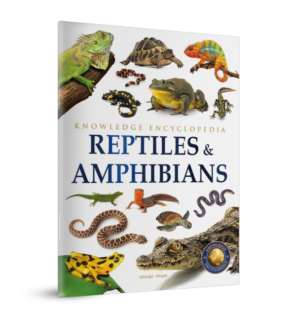 Animals - Reptiles and Amphibians