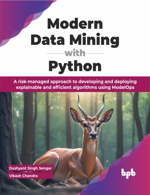 Modern Data Mining with Python