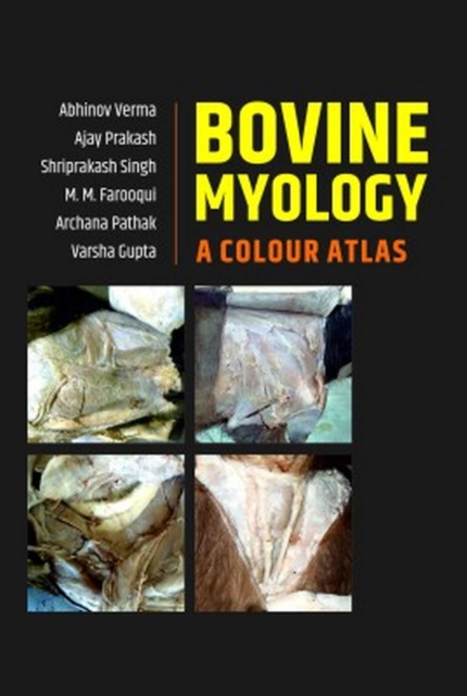 Bovine Myology: A Colour Atlas