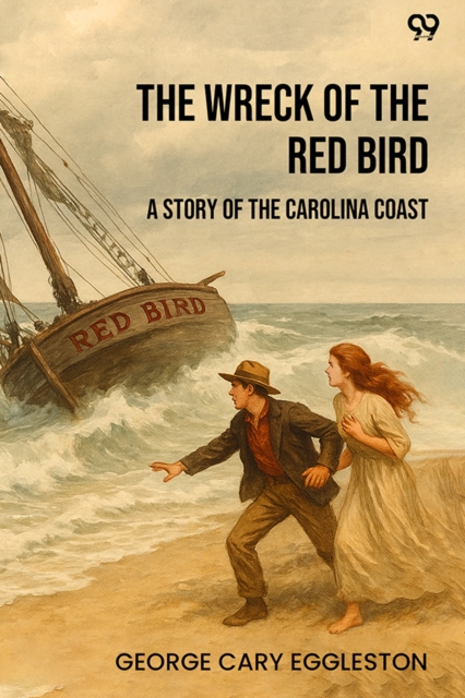 The Wreck Of The Red Bird A Story Of The Carolina Coast