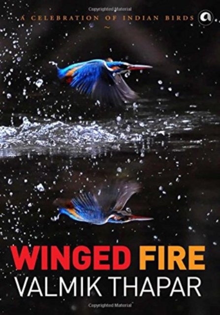 Winged Fire