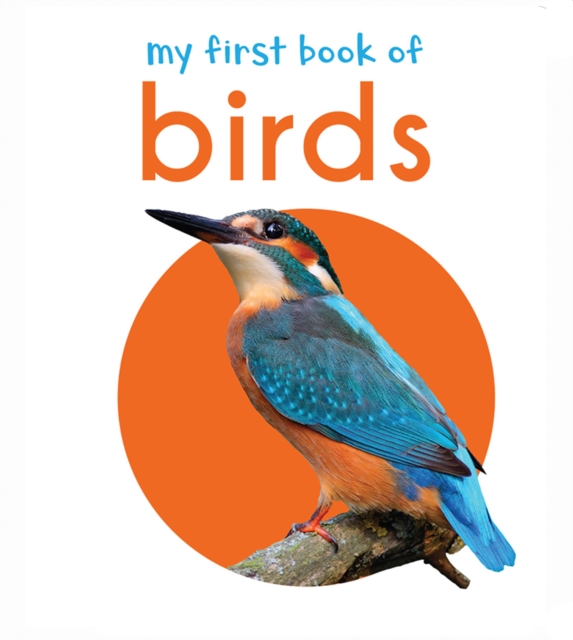 My First Book of Birds