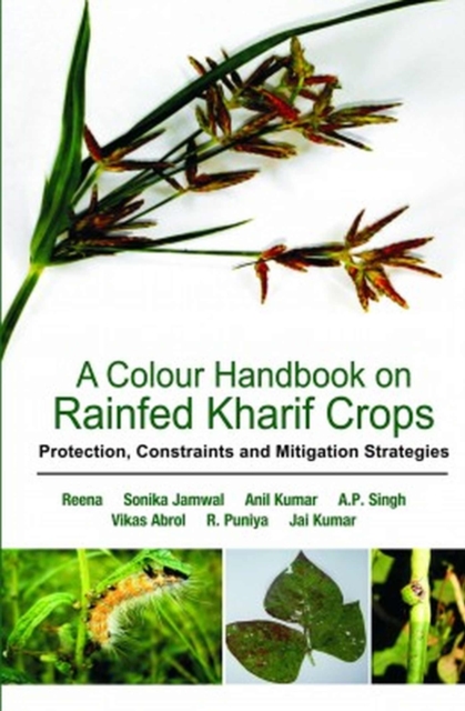 Colour Handbook on Rainfed Rabi Crops: Protection,Constraints and Mitigation Strategies