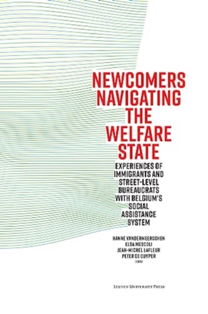 Newcomers Navigating the Welfare State