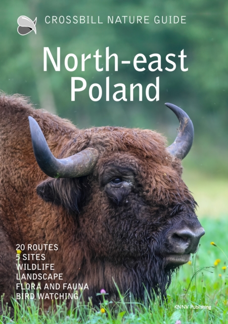 Crossbill Nature Guide North-east Poland