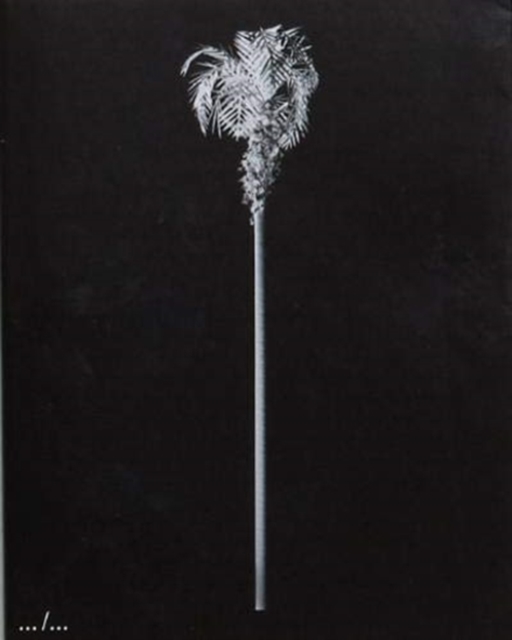 Few Model Palm Trees