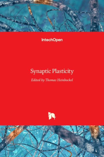 Synaptic Plasticity