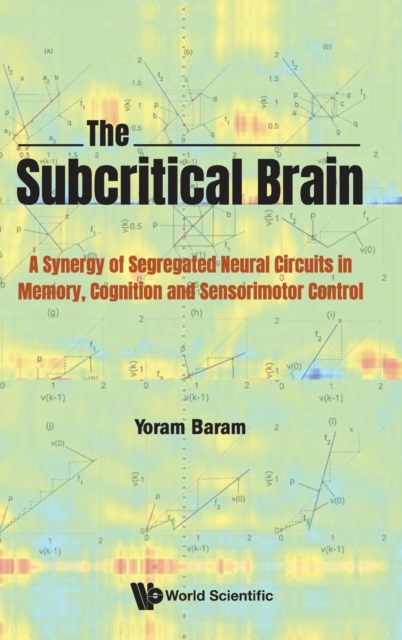 Subcritical Brain, The: A Synergy Of Segregated Neural Circuits In Memory, Cognition And Sensorimotor Control