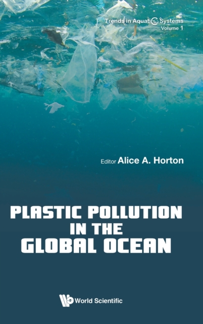 Plastic Pollution In The Global Ocean