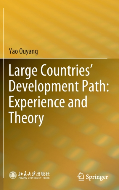 Large Countries' Development Path: Experience and Theory