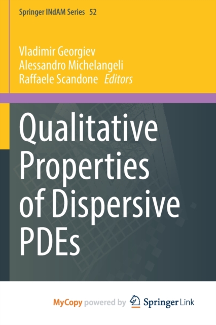 Qualitative Properties of Dispersive PDEs