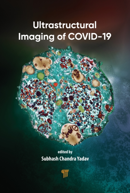 Ultrastructural Imaging of COVID-19